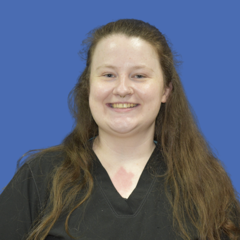 Chloe , LVT Chloe , LVT